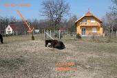 Hor�nyi telek tulajdonost�l